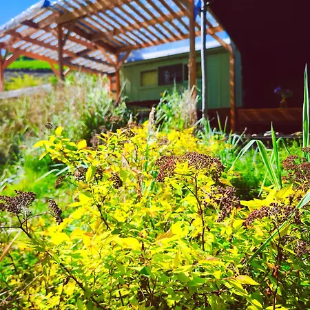 Parque de Campismo Ekokemp Lipa *